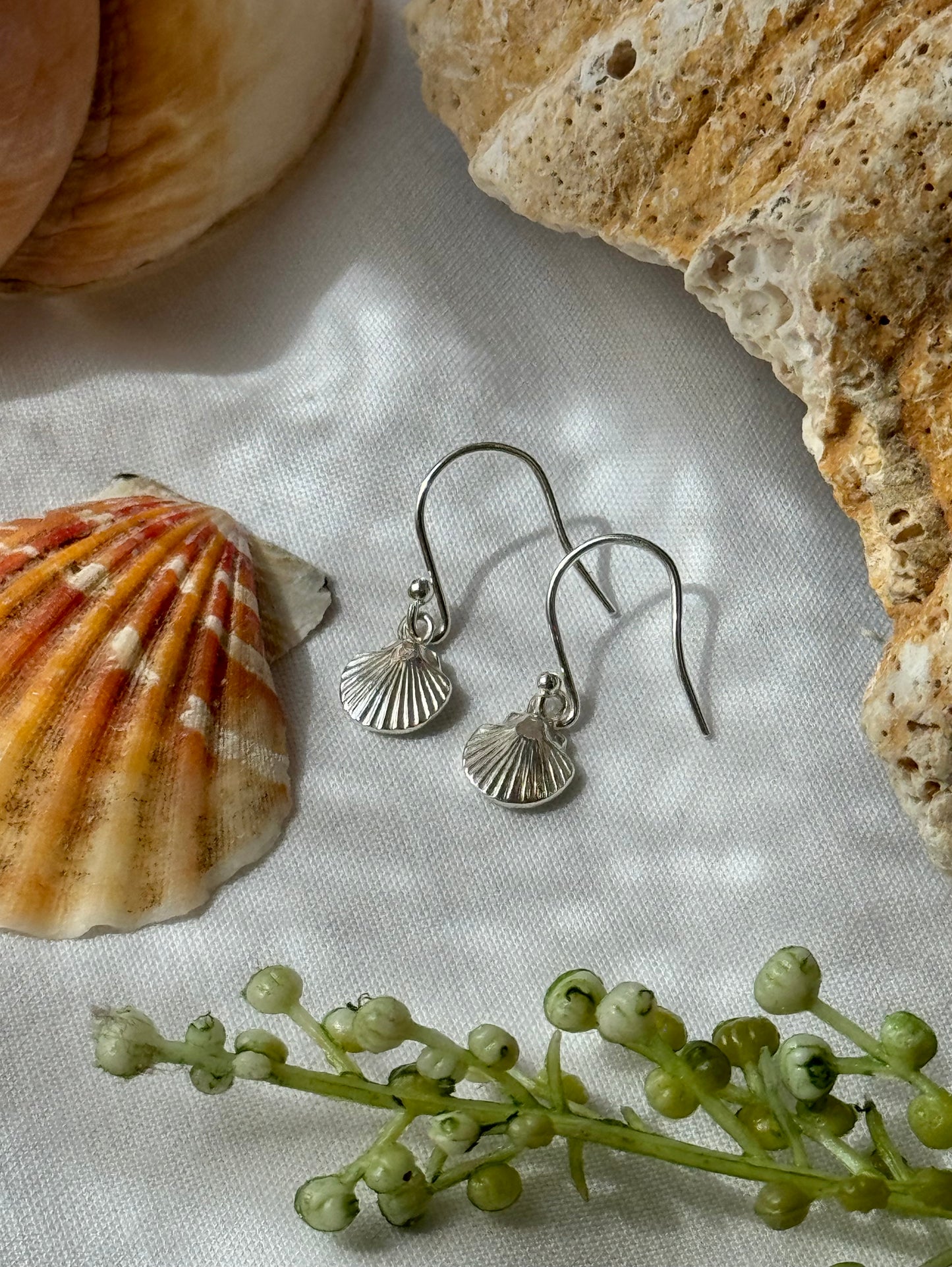 Scallop shell earrings