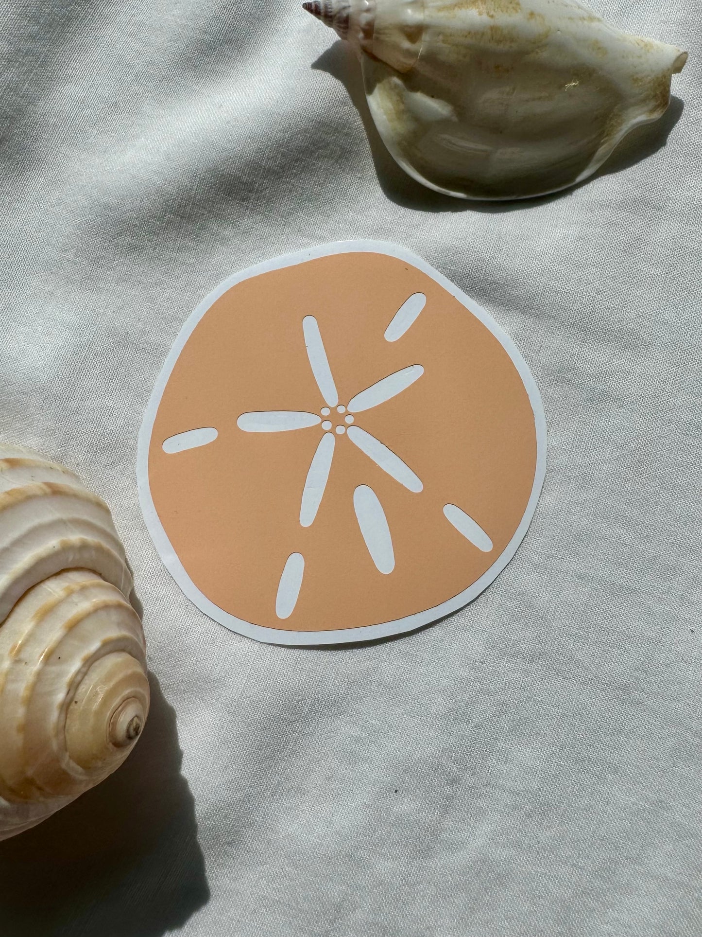 Sand dollar sticker