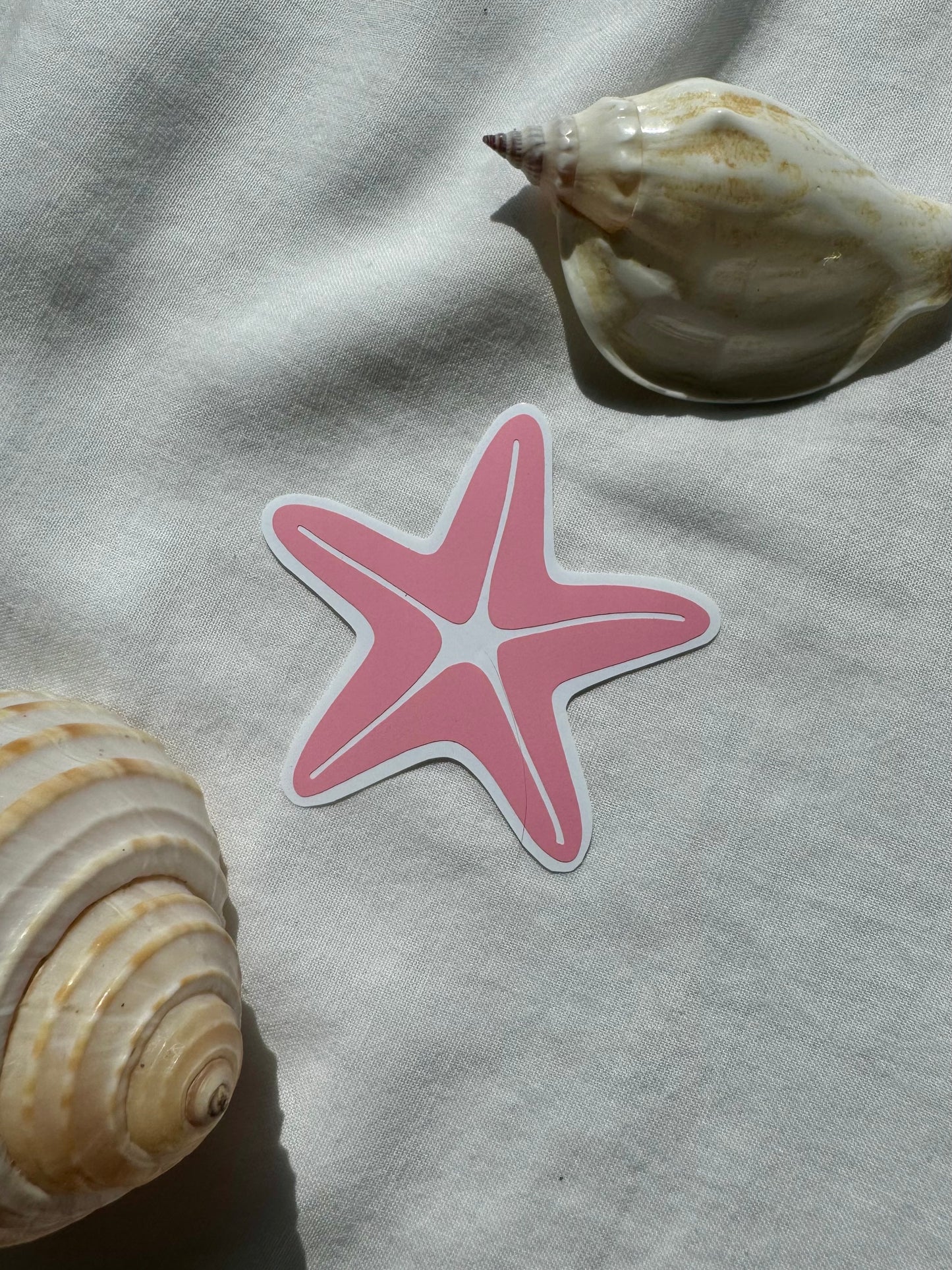 Starfish sticker