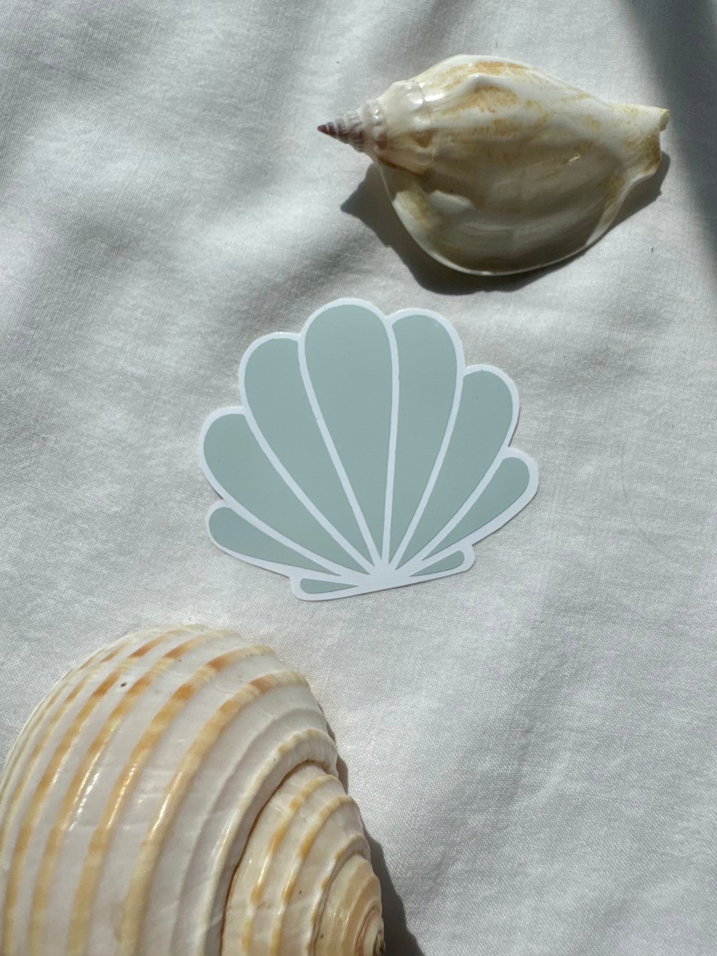 Shell sticker