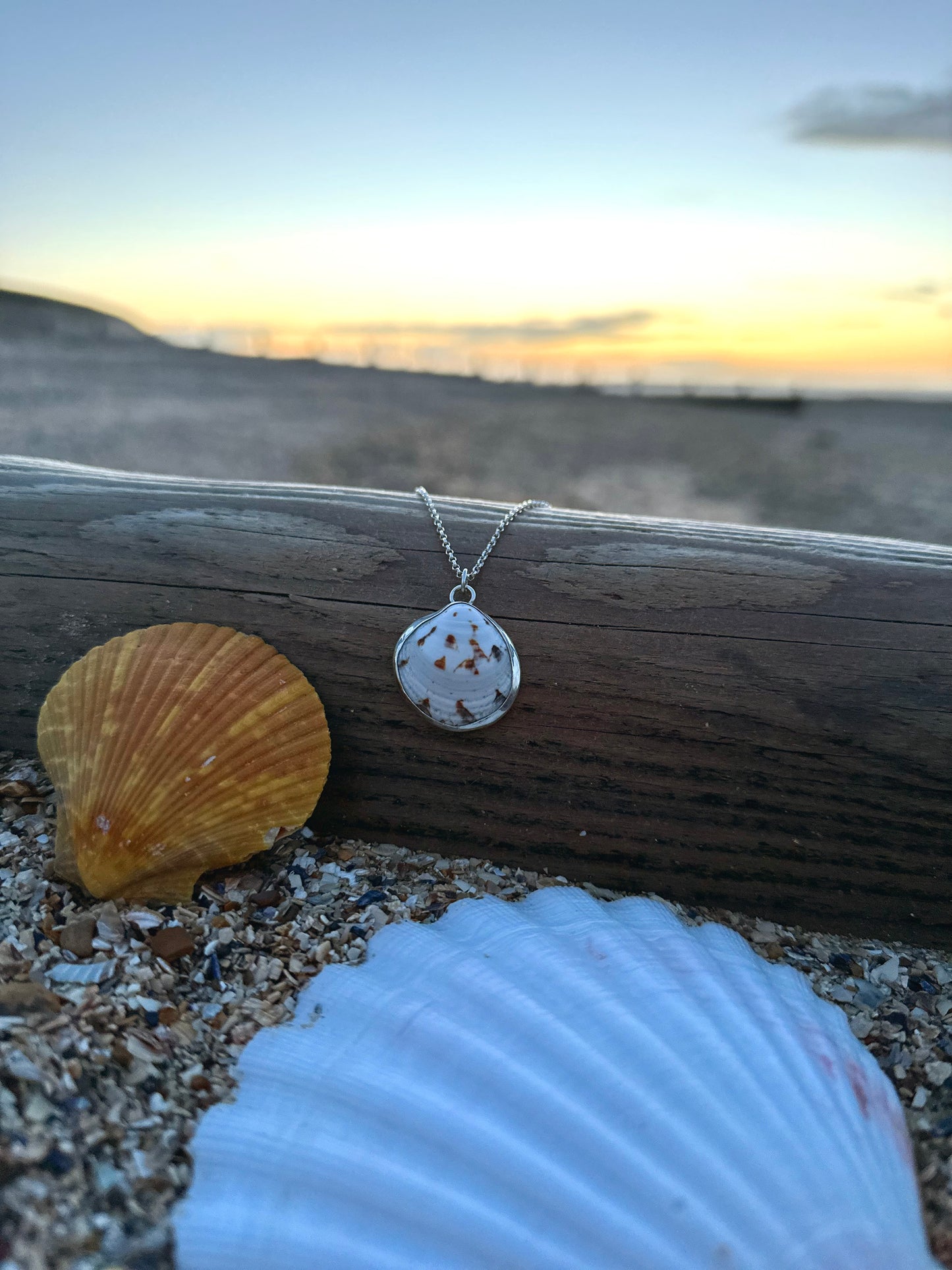 beach jewellery shell jewellery handmade jewellery shell necklace 